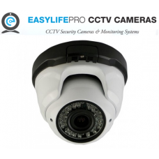 EASYLIFE PRO Wireless Indoor Outdoor Dome Camera
